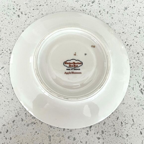 Vintage Theodore HAVILAND New York Apple Blossom Footed Tea Cup & Saucer Set - Picture 5 of 5